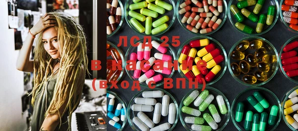 ГАЛЛЮЦИНОГЕННЫЕ ГРИБЫ Абаза