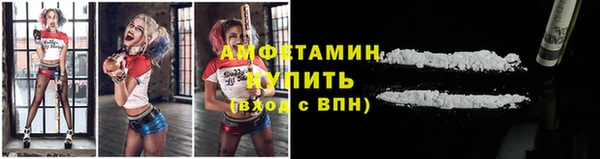 ГАЛЛЮЦИНОГЕННЫЕ ГРИБЫ Абаза