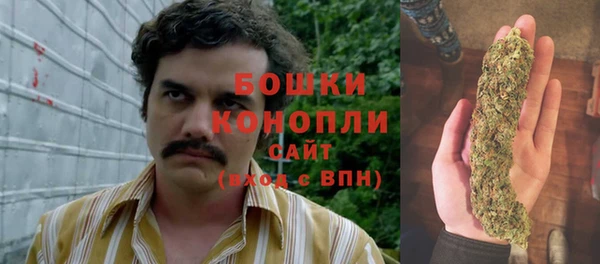 кристаллы Осинники