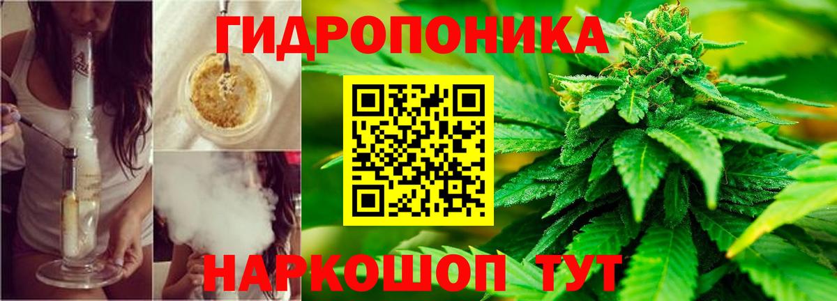 Бошки Шишки план  Конопля THC 21%  Вход с VPN  Тутаев 